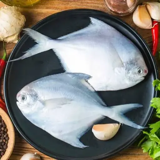 Pomfret Fish