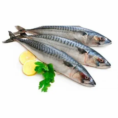 Bangda Fish
